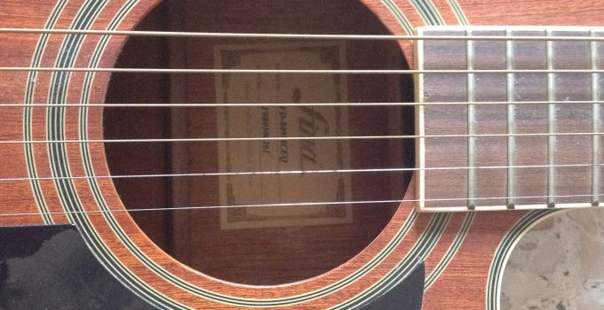 IMG_0937 wts fina guitar