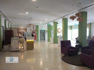 raintree hotel review changi lobby singapore damon wong