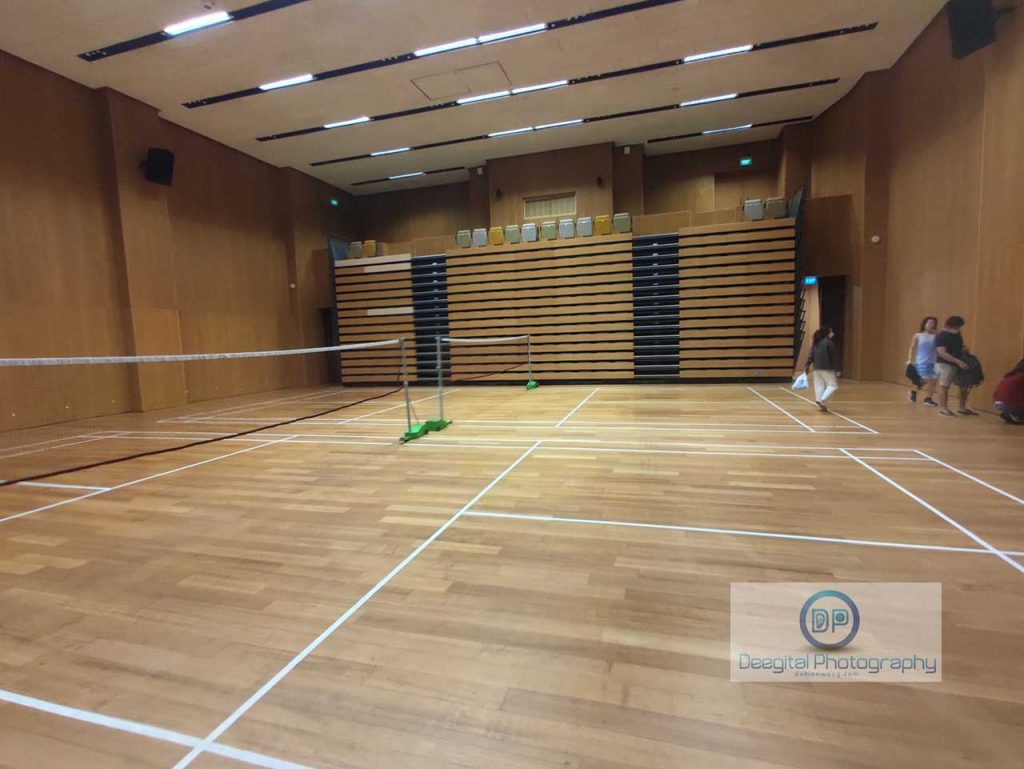 mapletree business city badminton court